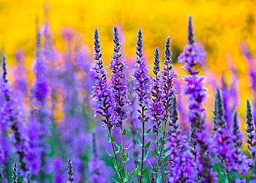 Meta突然关闭三款VR游戏 暂无任何退款计划