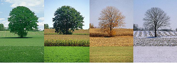 《崩坏：星穹铁道》2.3版本PV公布 6月19日上线